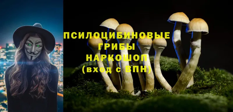 Псилоцибиновые грибы Magic Shrooms  Руза 